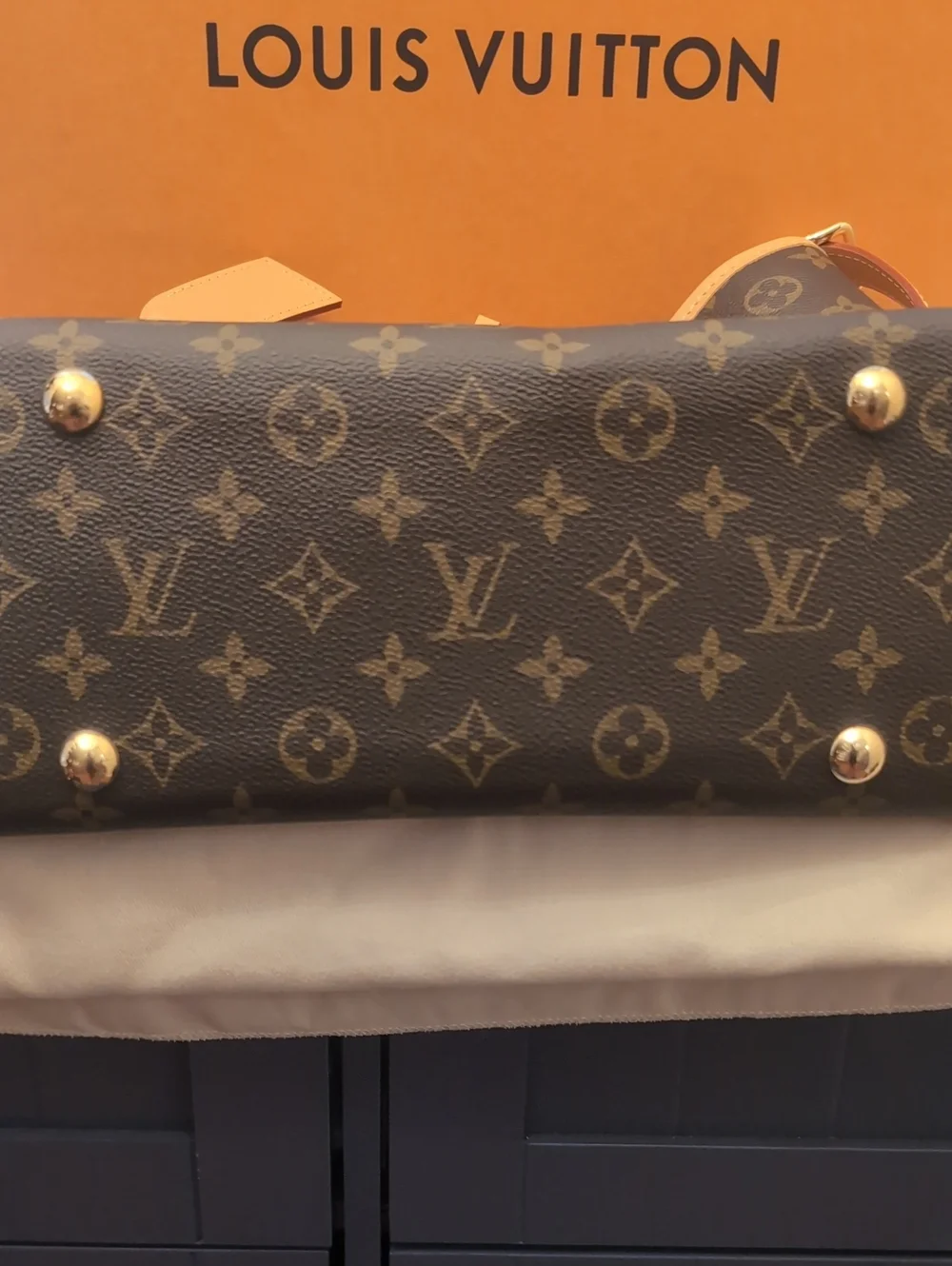 LV Carry All